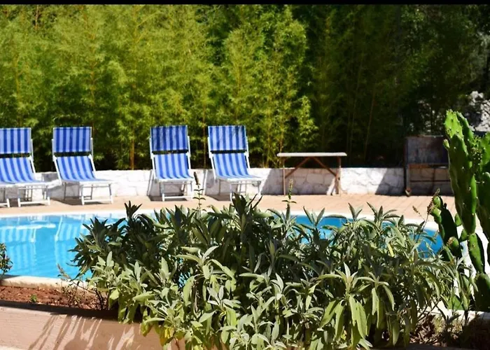 Mialma Монополи